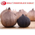 manufacturer supply solo black garlic